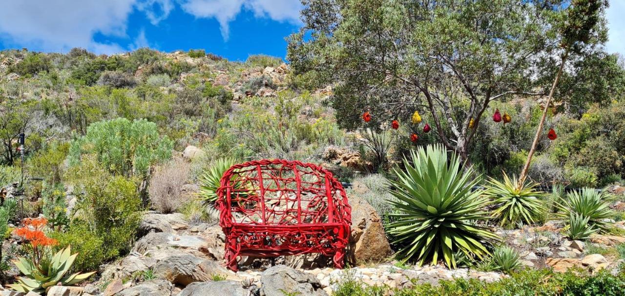 Montagu Little Sanctuary - Hot Spring Access At Reduced Price Leilighet Eksteriør bilde