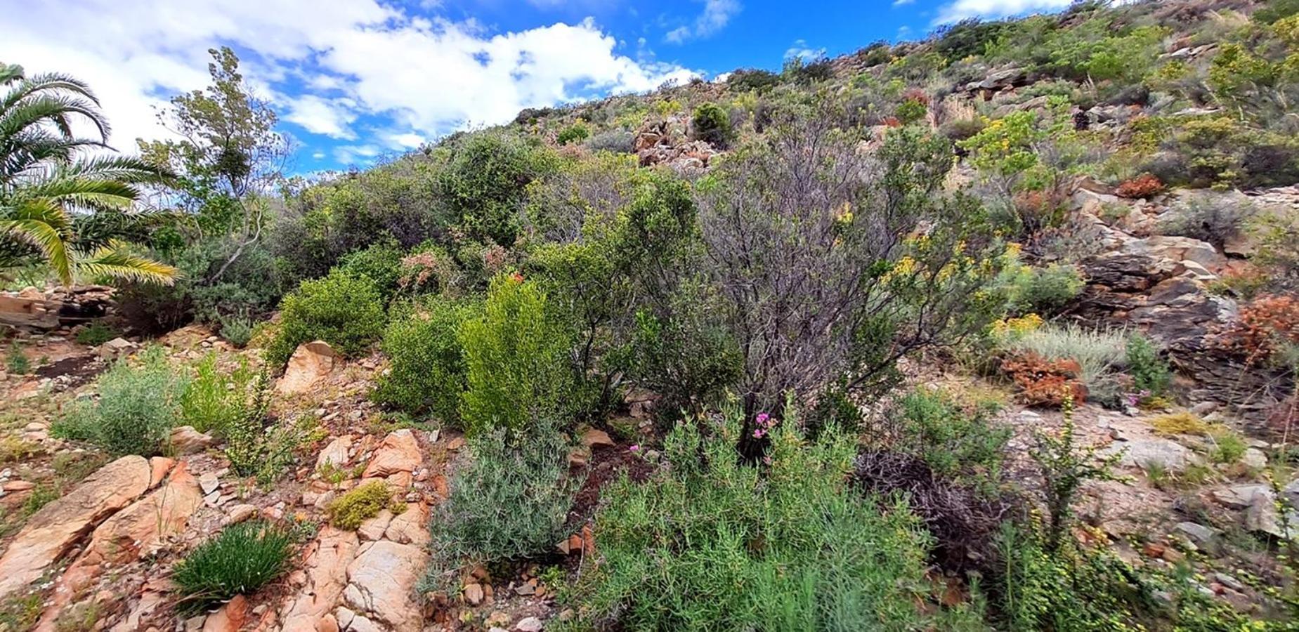 Montagu Little Sanctuary - Hot Spring Access At Reduced Price Leilighet Rom bilde