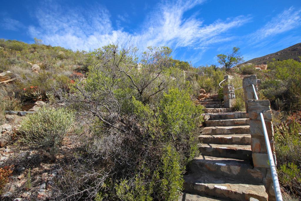 Montagu Little Sanctuary - Hot Spring Access At Reduced Price Leilighet Eksteriør bilde