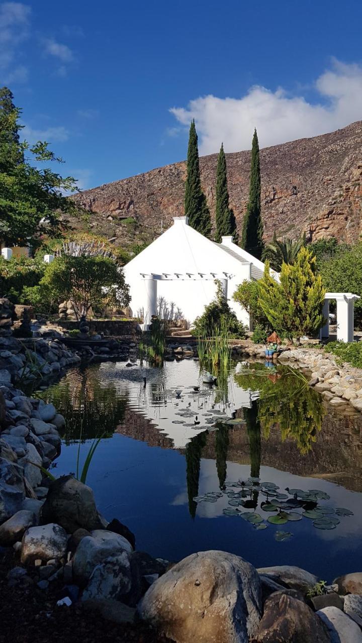 Montagu Little Sanctuary - Hot Spring Access At Reduced Price Leilighet Eksteriør bilde