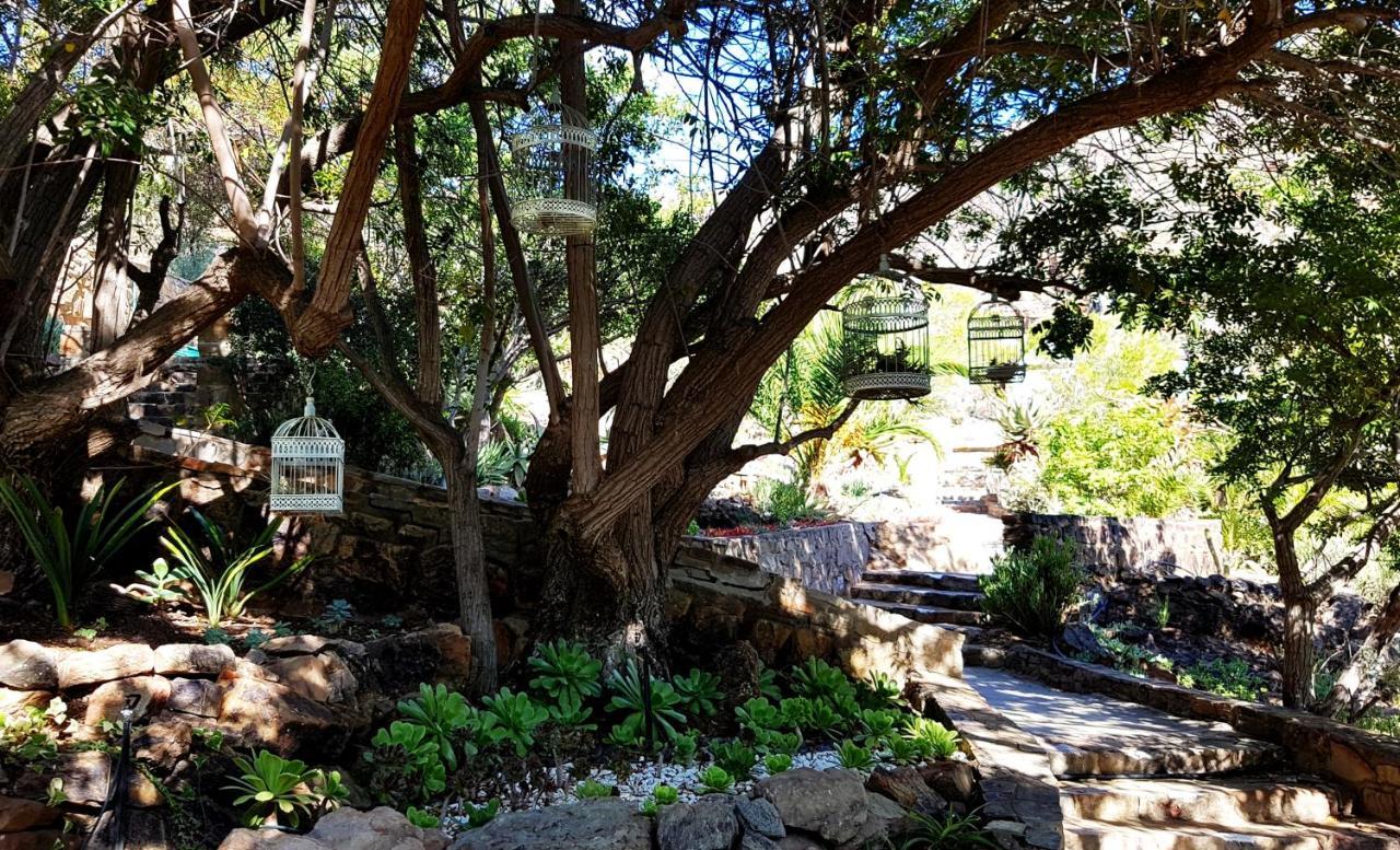 Montagu Little Sanctuary - Hot Spring Access At Reduced Price Leilighet Eksteriør bilde