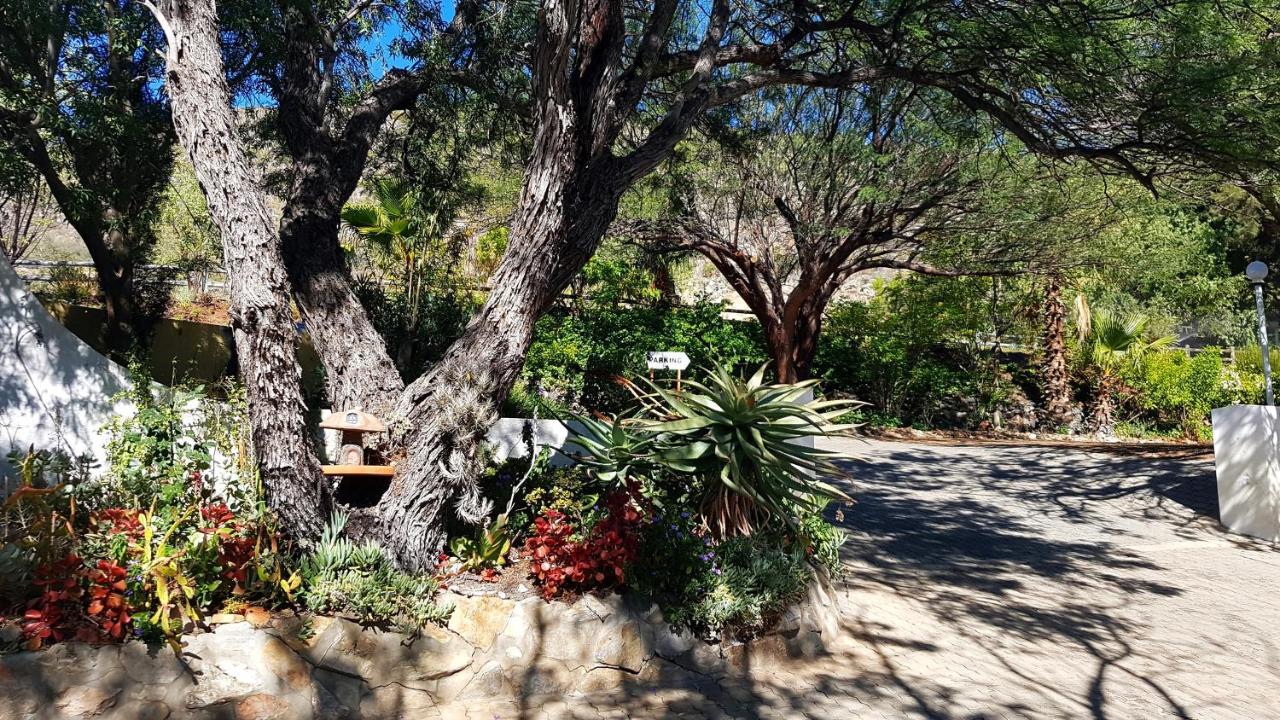 Montagu Little Sanctuary - Hot Spring Access At Reduced Price Leilighet Eksteriør bilde