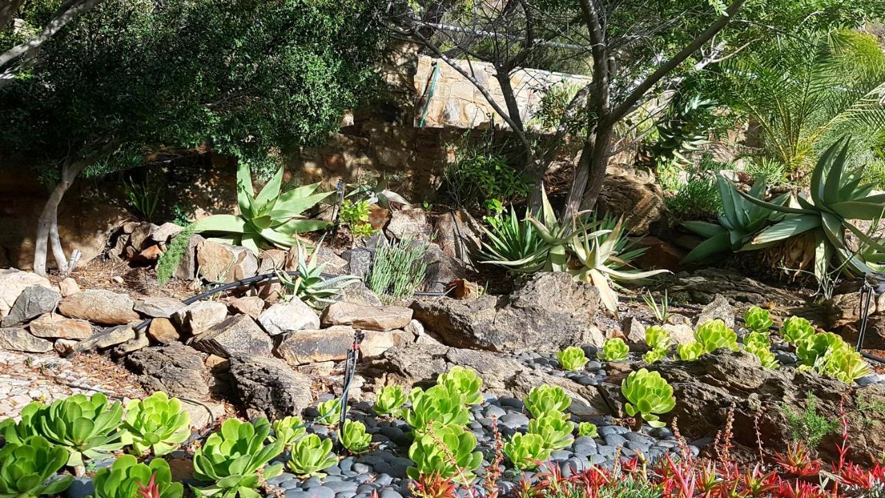 Montagu Little Sanctuary - Hot Spring Access At Reduced Price Leilighet Eksteriør bilde