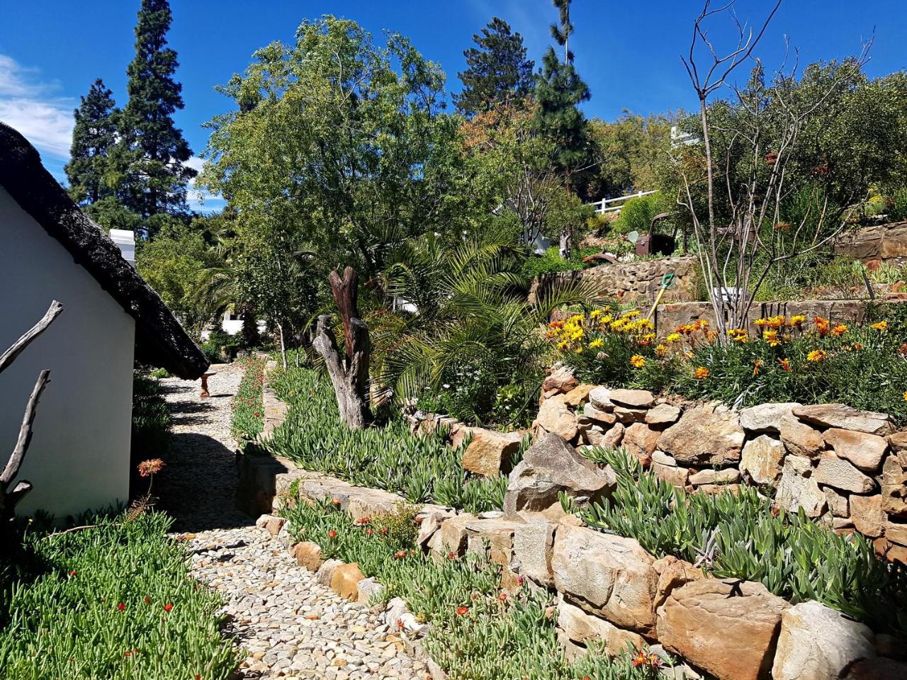 Montagu Little Sanctuary - Hot Spring Access At Reduced Price Leilighet Eksteriør bilde